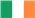 Hodowca rasy Leonberger w Irlandii