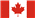 Hodowca labradoodli w Kanadzie